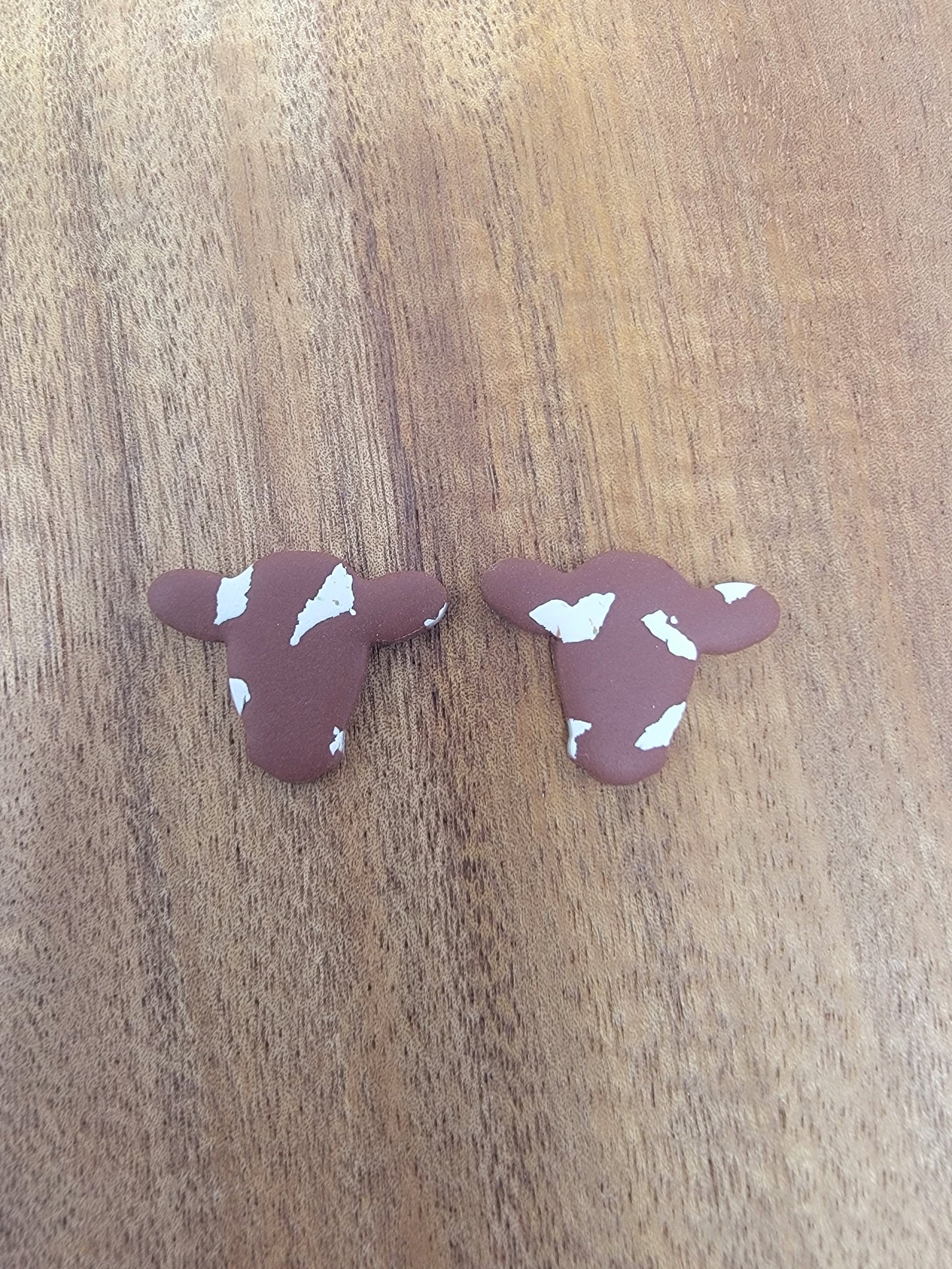 Brown cow studs
