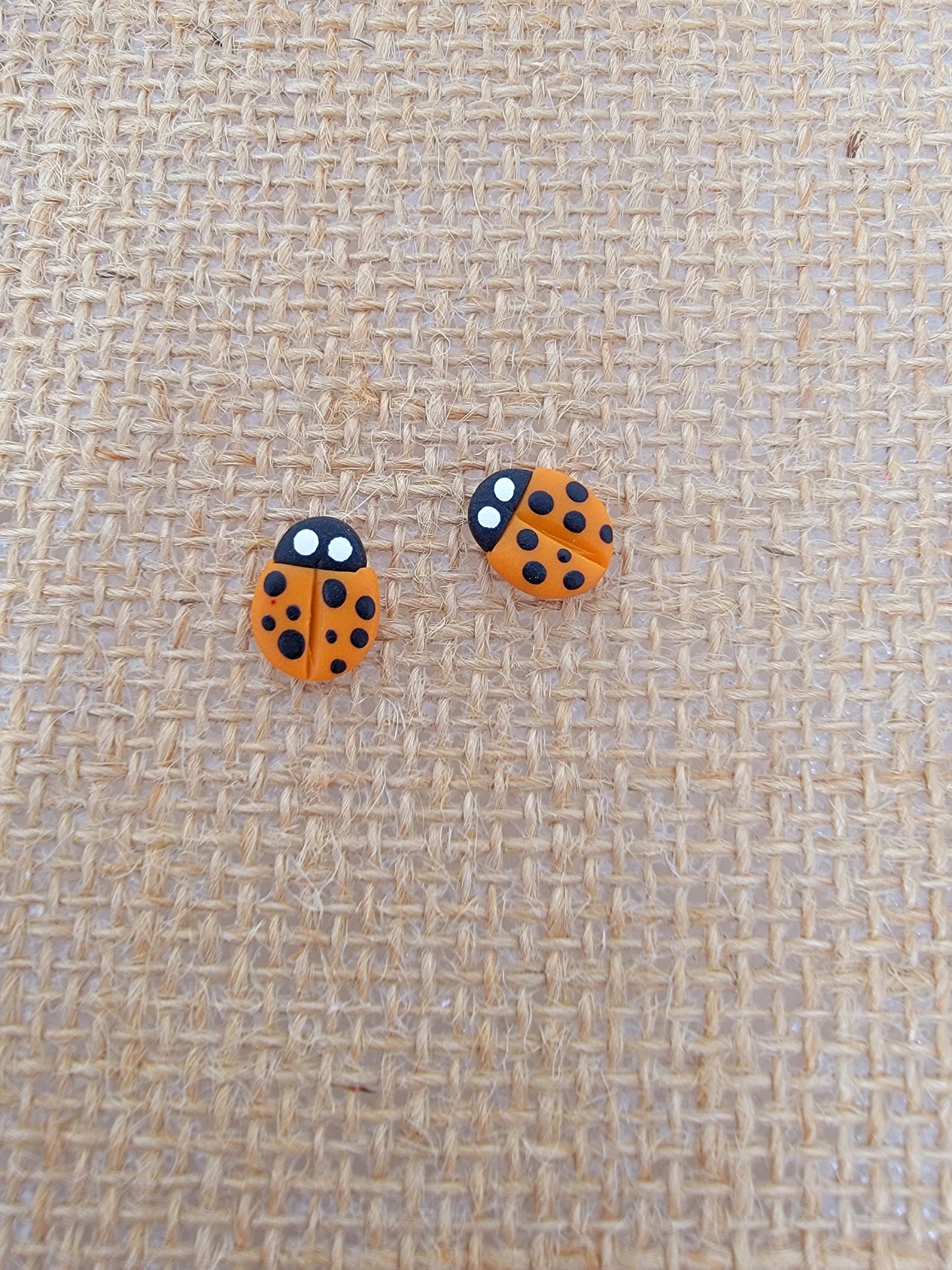 Orange lady bug studs