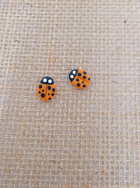 Orange lady bug studs