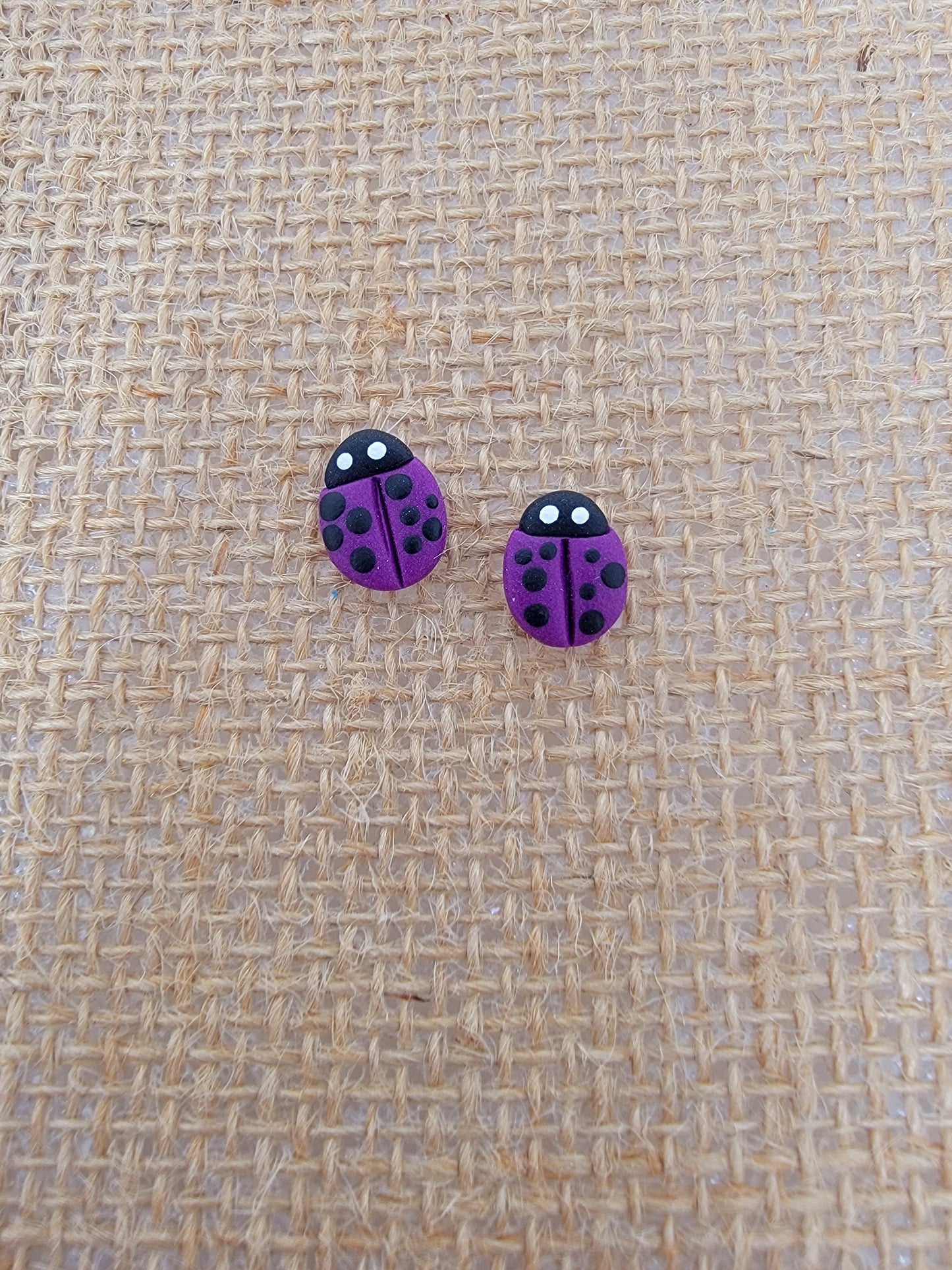 Purple lady bug studs