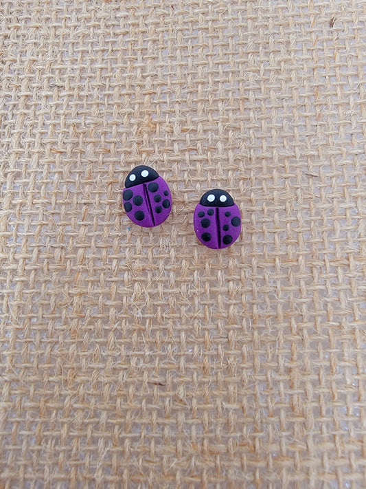 Purple lady bug studs
