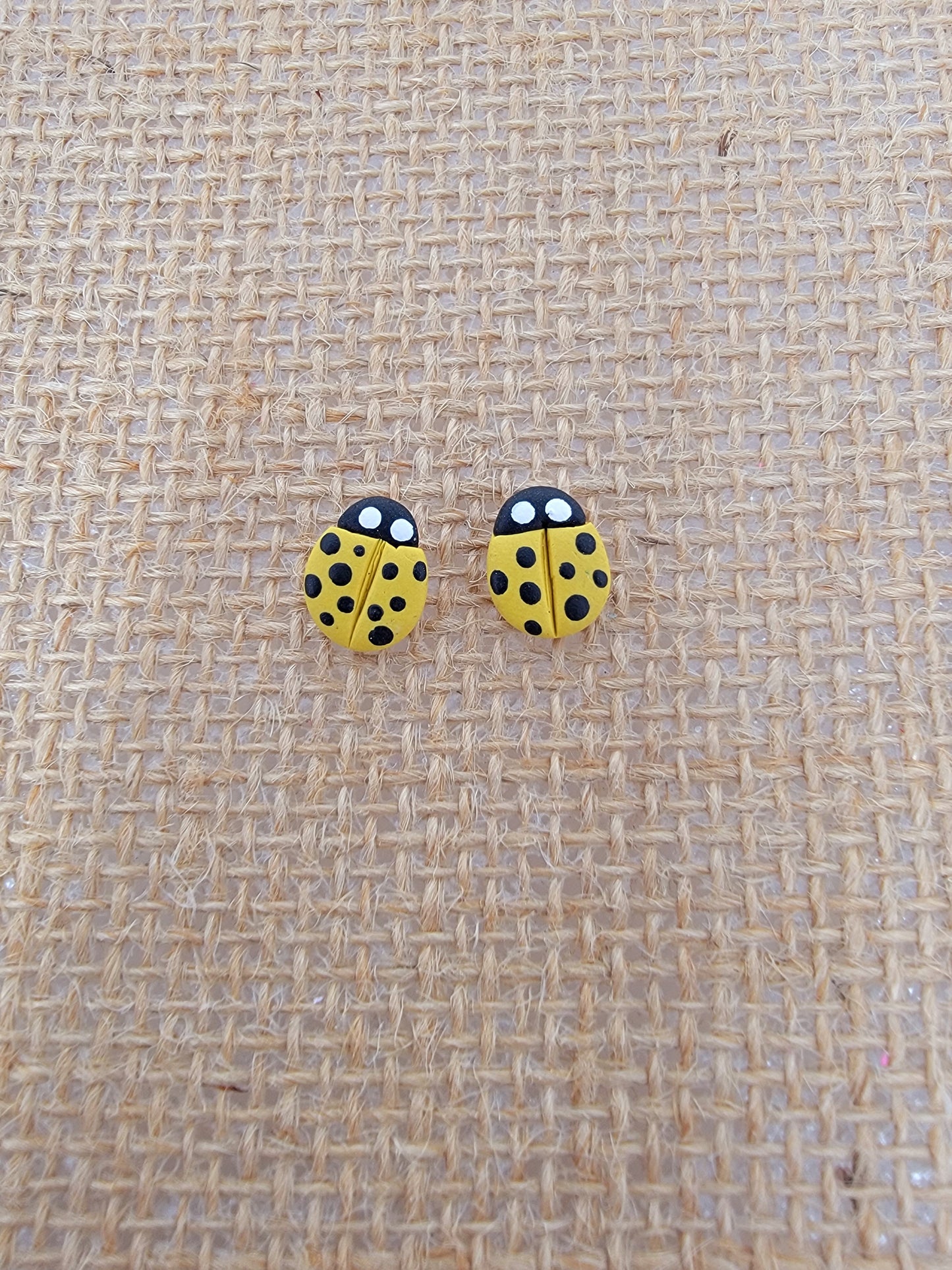 Yellow lady bug studs