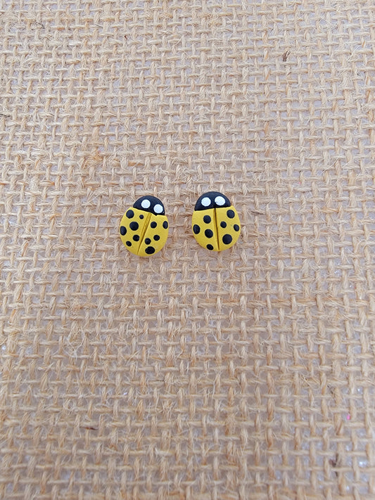 Yellow lady bug studs