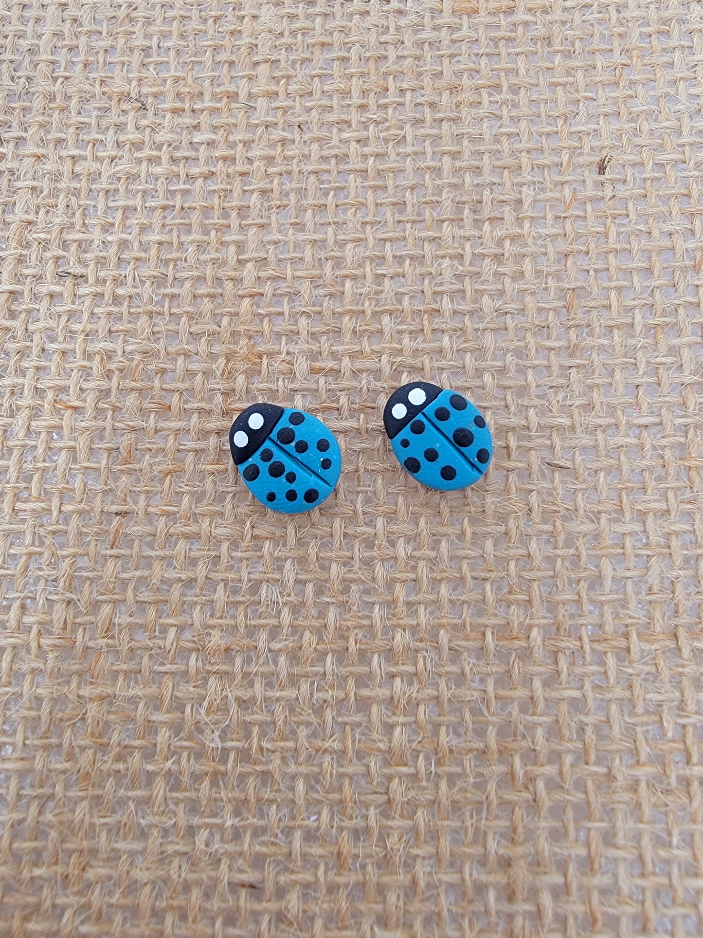 Light blue lady bug studs