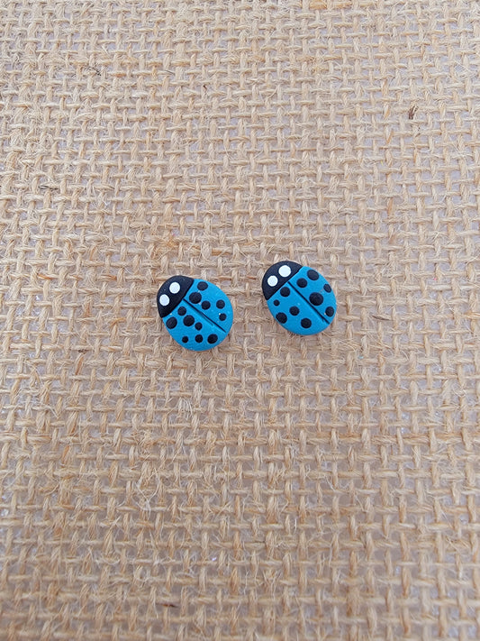 Light blue lady bug studs
