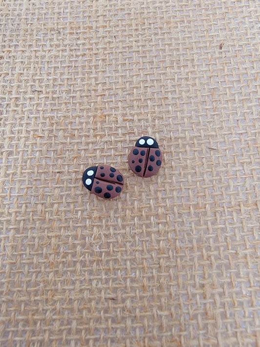 Brown lady bug studs