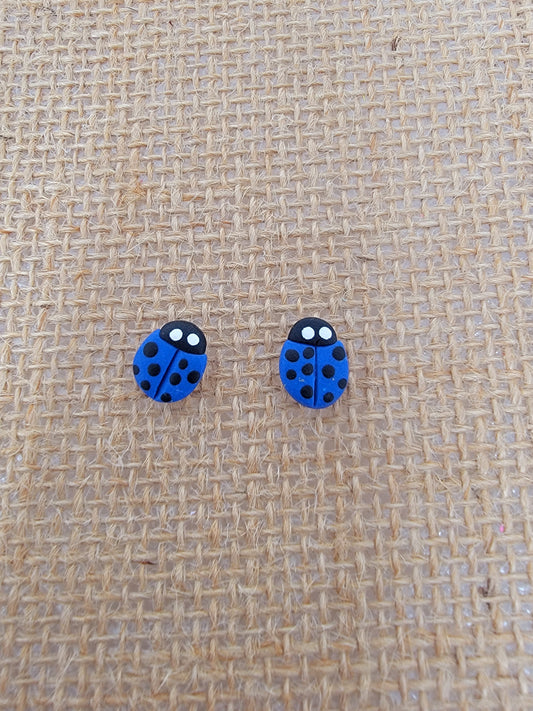 Blue lady bug studs