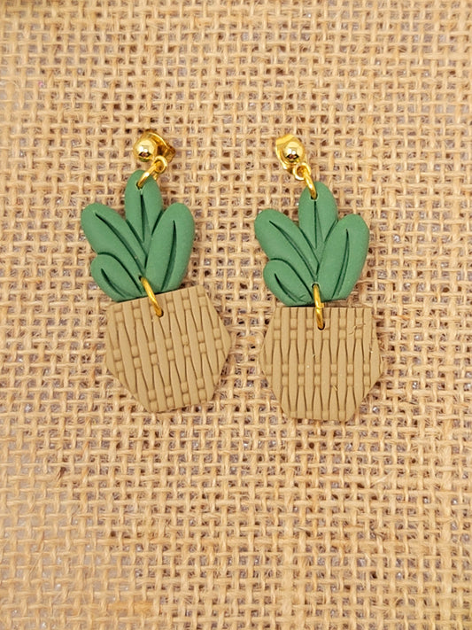 Green and tan potted plant dangles