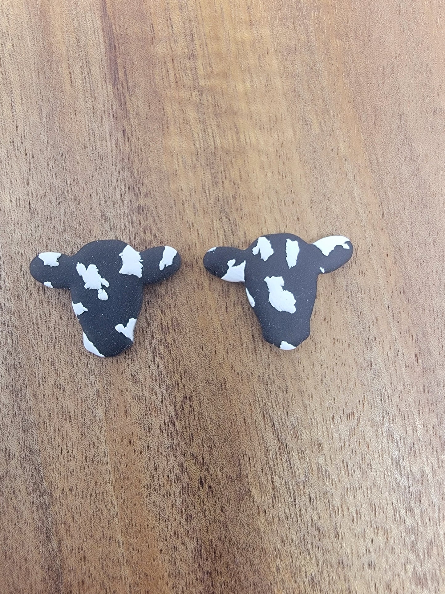 Black cow studs